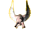 swinia-ruchomy-obrazek-0101
