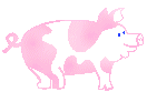 swinia-ruchomy-obrazek-0145