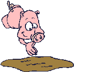 swinia-ruchomy-obrazek-0210