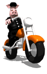 swinia-ruchomy-obrazek-0221