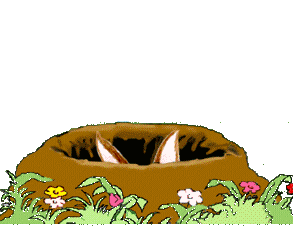 krolik-ruchomy-obrazek-0162