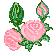 roza-ruchomy-obrazek-0013