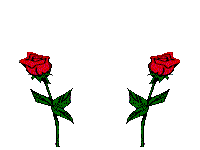 roza-ruchomy-obrazek-0044