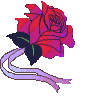 roza-ruchomy-obrazek-0052