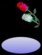 roza-ruchomy-obrazek-0193