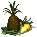 ananas-ruchomy-obrazek-0005