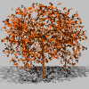 drzewo-ruchomy-obrazek-0032