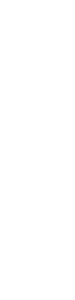 fajerwerk-ruchomy-obrazek-0076