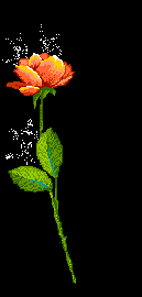 kwiat-ruchomy-obrazek-0022