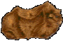 chomik-ruchomy-obrazek-0081