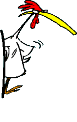 kurczak-ruchomy-obrazek-0172