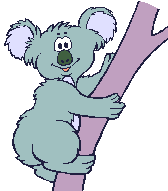koala-ruchomy-obrazek-0019