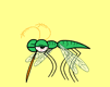 komar-ruchomy-obrazek-0001