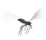 komar-ruchomy-obrazek-0010