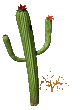 roslina-ruchomy-obrazek-0099
