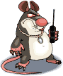 szczur-ruchomy-obrazek-0005