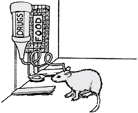 szczur-ruchomy-obrazek-0067