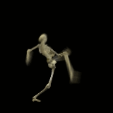 szkielet-ruchomy-obrazek-0003