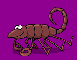 skorpion-ruchomy-obrazek-0018