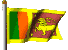 flaga-ruchomy-obrazek-0254
