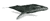 wieloryb-ruchomy-obrazek-0001