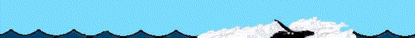 wieloryb-ruchomy-obrazek-0008