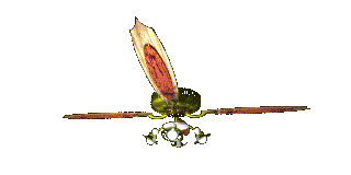 sprzet-domowy-ruchomy-obrazek-0055