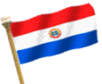 flaga-paragwaju-ruchomy-obrazek-0009
