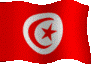 flaga-tunezji-ruchomy-obrazek-0013