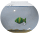 akwarium-ruchomy-obrazek-0028