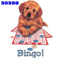 bingo-ruchomy-obrazek-0025